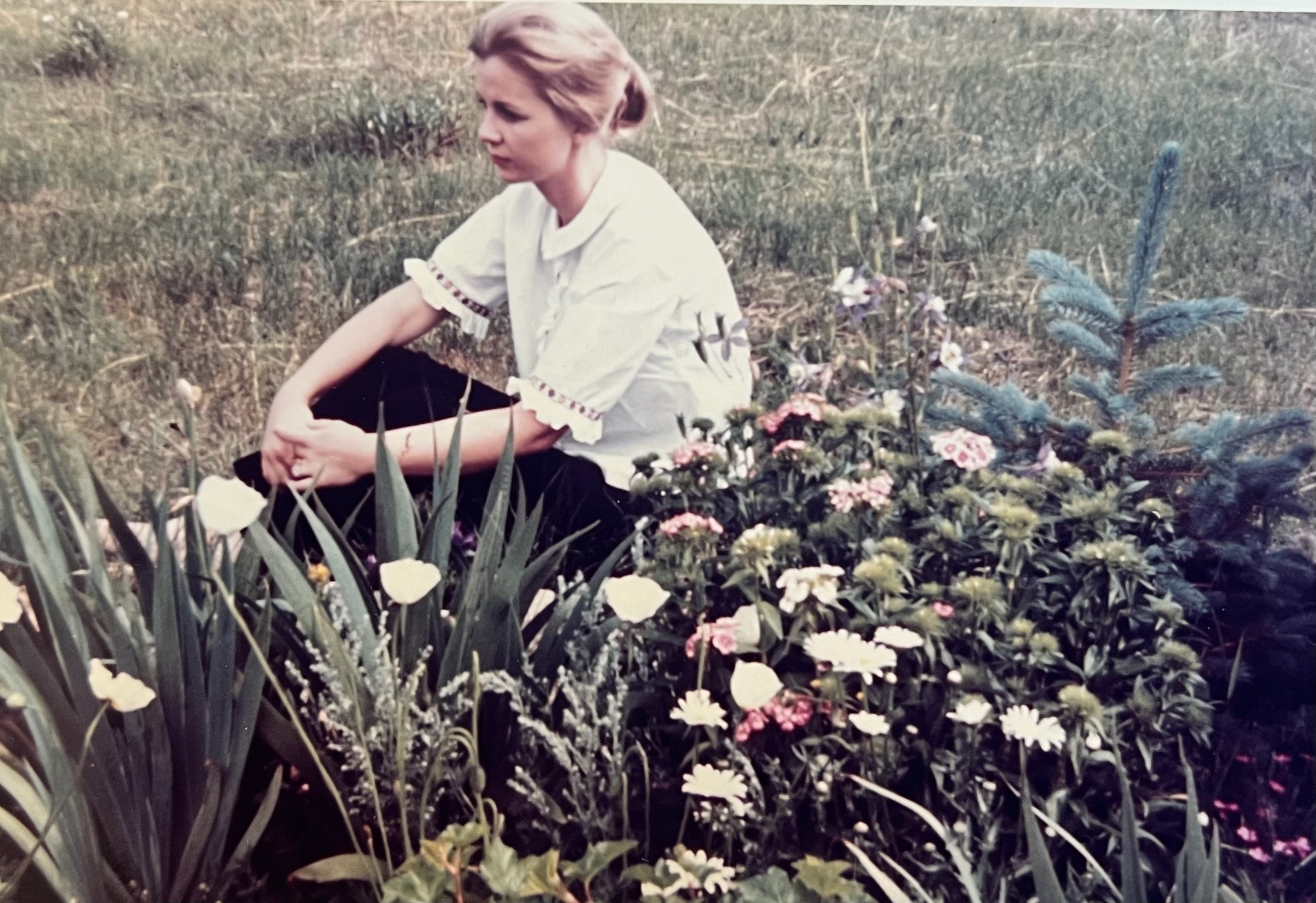 flowers